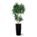 draceana_reflexa_xl_190_cm_groen_kunstboom_153019_2_4.webp