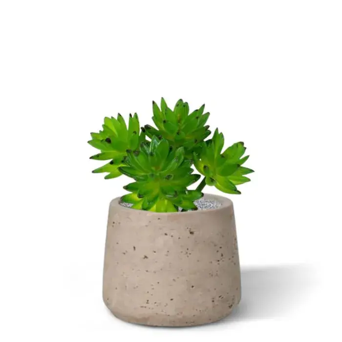 echeveria_vetplant_kunstboeket_403102_4_4.webp