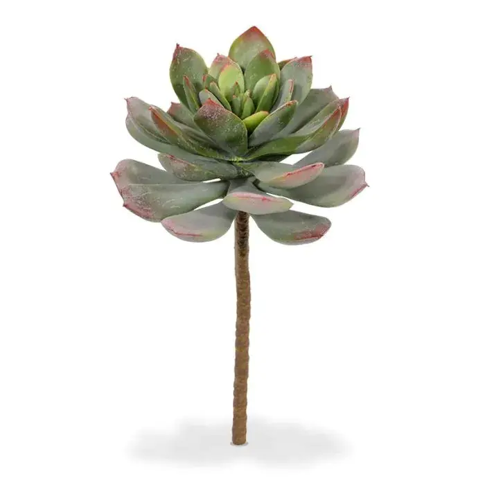409602_echeveria_boeket_25_groen-rood_3.webp