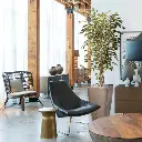 ficus_hawai_kunstboom_150_cm_100115_7_2.webp