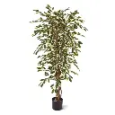 ficus_hawai_kunstboom_150_cm_100115_1_2.webp