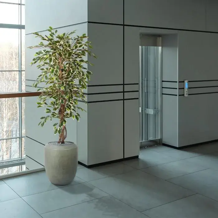ficus_hawai_kunstboom_150_cm_100115_8_2.webp