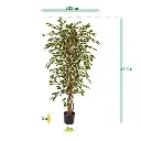 ficus_hawai_kunstboom_150_cm_100115_6_3.webp