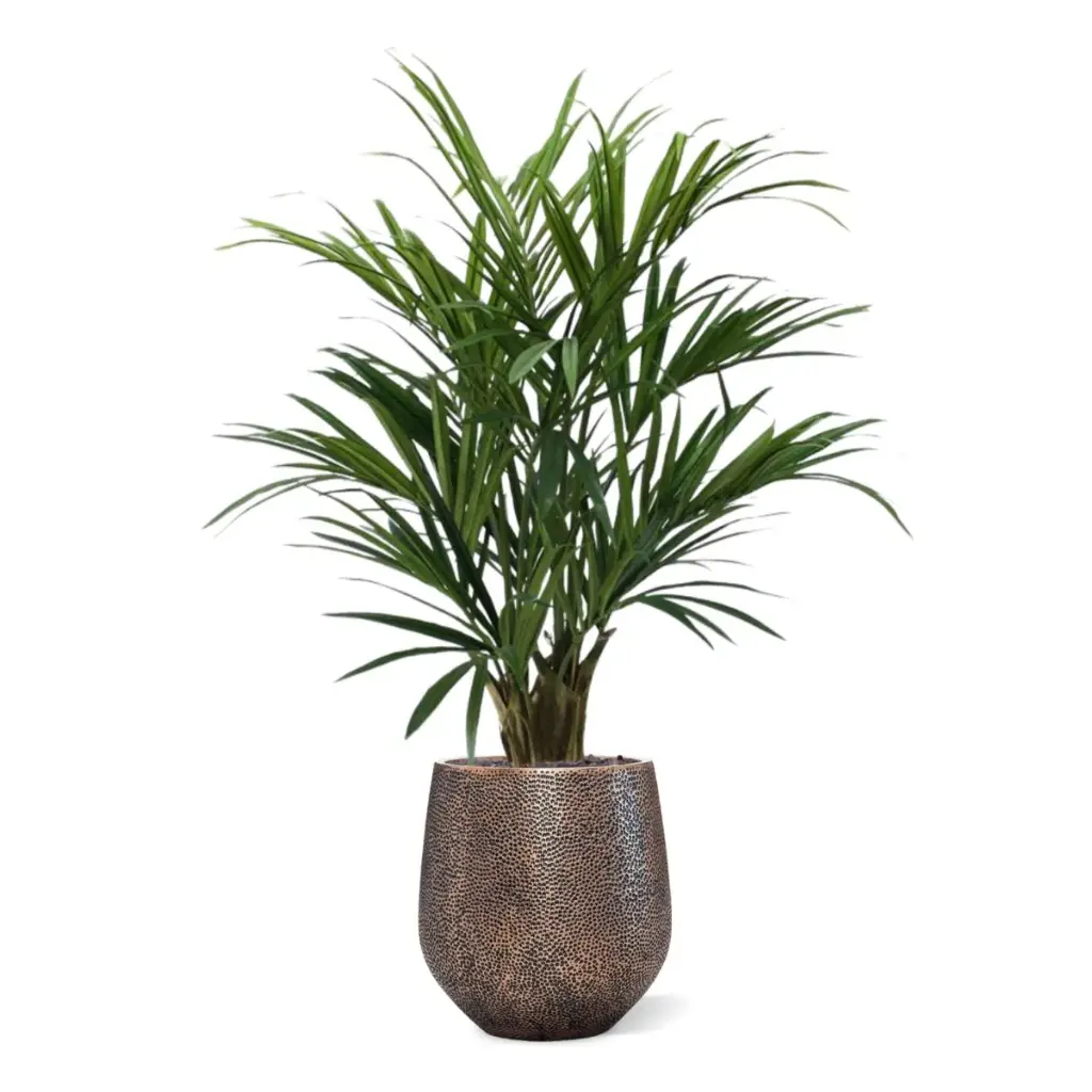 175114_Luxe_Kentia_kunstpalm_XL_140cm_in_6OPSD45RG_2.webp