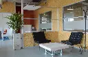 kentia_kunstpalm_in_kantoor_1_4.webp