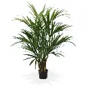 175114-kentia-palm-deluxe-140_5.webp