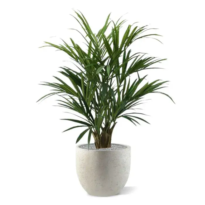 Kentia-kunstpalm-XL-Deluxe-140-cm_175114_3_2.webp