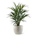 Kentia-kunstpalm-XL-Deluxe-140-cm_175114_3_2.webp