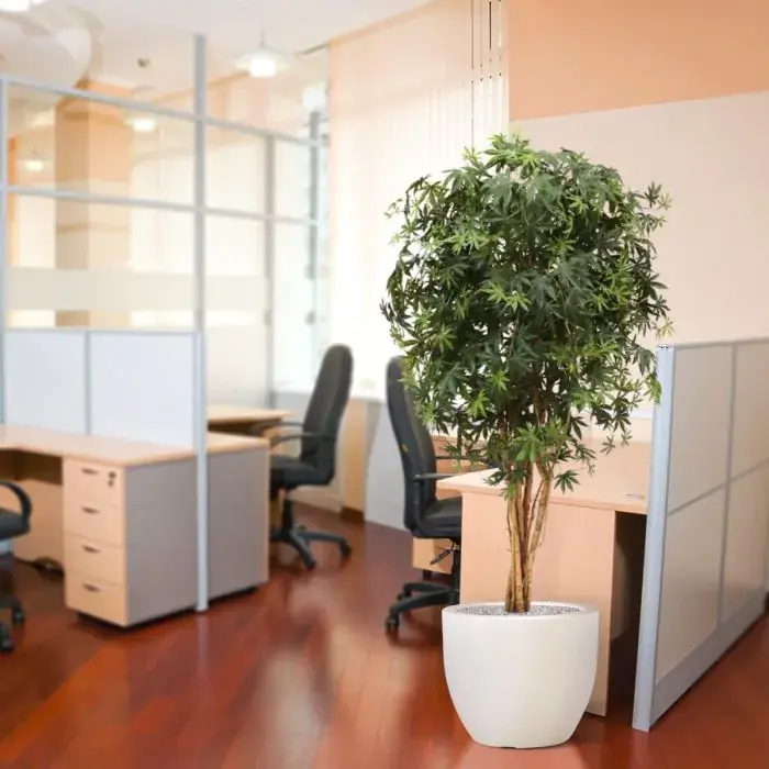 acer_kunstplant_160_cm_groen_153216_8_2.webp