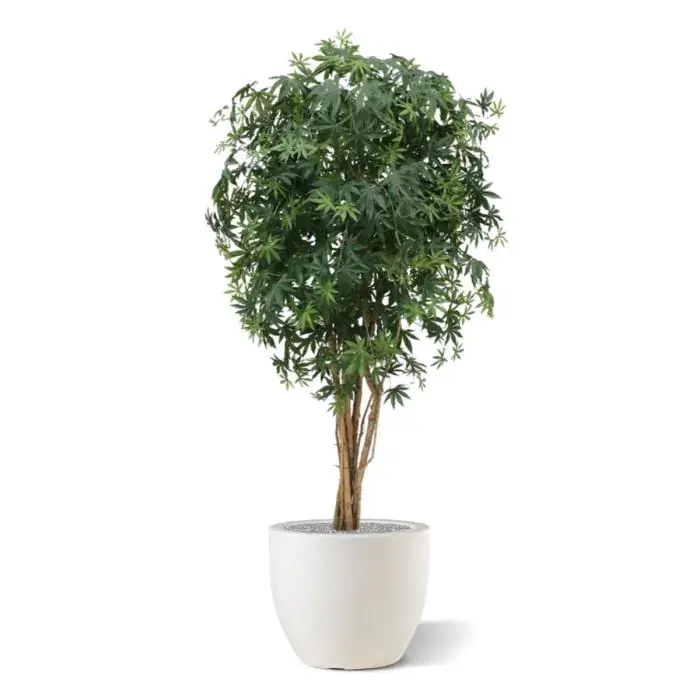 acer_kunstplant_160_cm_groen_153216_3_2.webp
