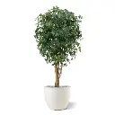 acer_kunstplant_160_cm_groen_153216_3_2.webp