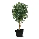 acer_kunstplant_160_cm_groen_153216_4_2.webp