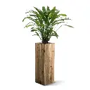 152208_Calthea_luxe_kunstplant_in_pot_F469_382.webp
