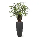 lyrata_deluxe_kunstplant_op_stam_125cm_pot3-High-Quality.webp