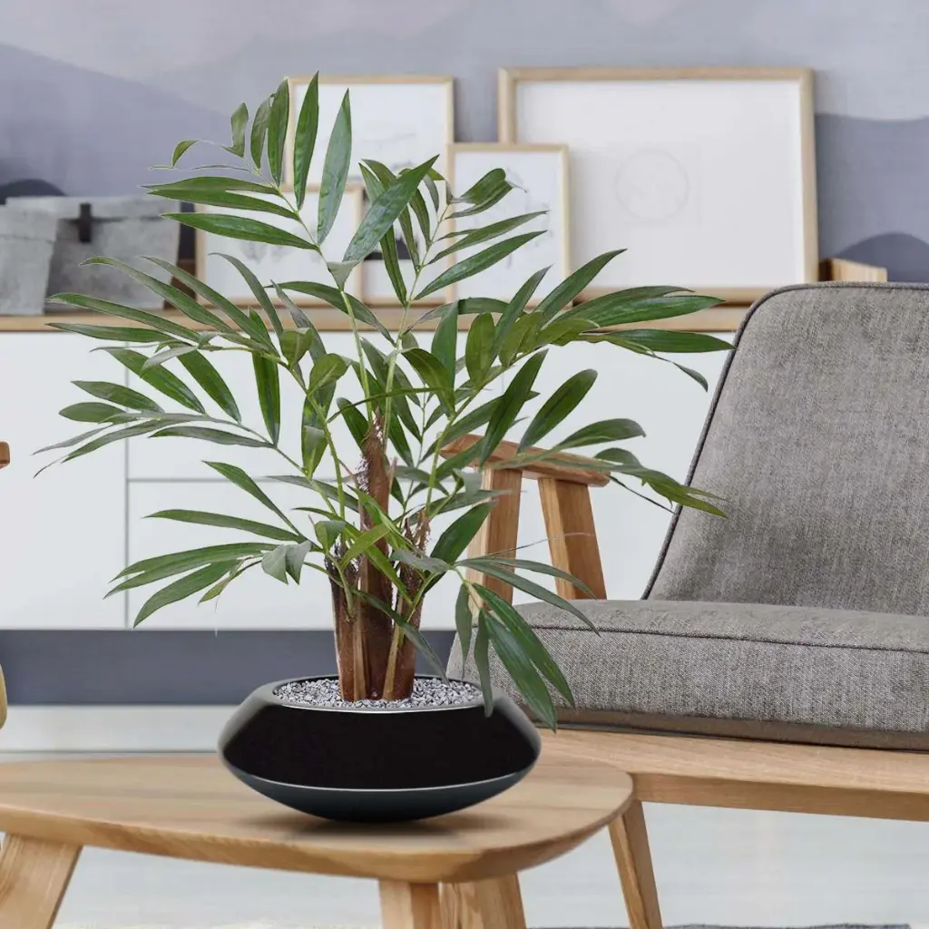 chamaedorea_kunstpalm_65_cm_in_pot_184406_9_3.webp