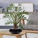 chamaedorea_kunstpalm_65_cm_in_pot_184406_9_3.webp