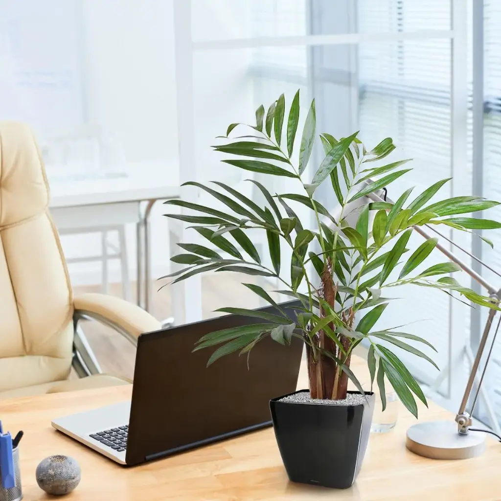 chamaedorea_kunstpalm_65_cm_in_pot_184406_11_3.webp
