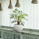 chamaedorea_kunstpalm_65_cm_in_pot_184406_10_3.webp
