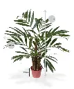 184406_chamedorea_palm_65_pp12_maat_1_1.webp