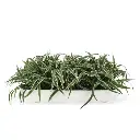402004-chlorophytum-s-arrangement-in-melbourne-50-shiny-white_1_3.webp