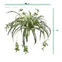 201305_sizing.webp