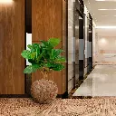 lyrata_deluxe_kunstplant_80_cm_op_stam_102408_11_1.webp