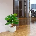 lyrata_deluxe_kunstplant_80_cm_op_stam_102408_9_1_2.webp