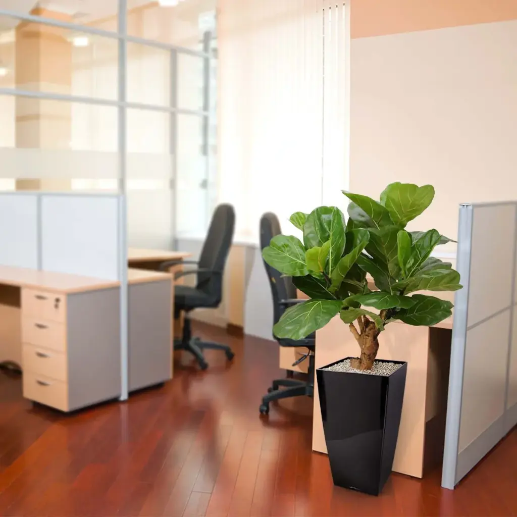 lyrata_deluxe_kunstplant_80_cm_op_stam_102408_10_1_3.webp
