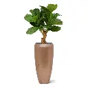Lyrata_kunstplant_80cm_in_6OPSP36RG_1.webp