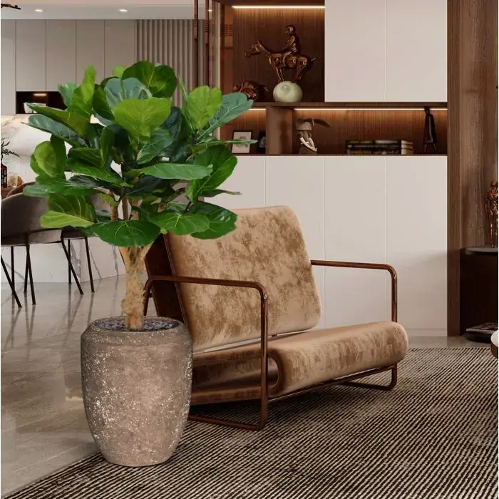 102412-1722943177-lifestyle1722943063.webp