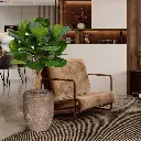 102412-1722943177-lifestyle1722943063.webp