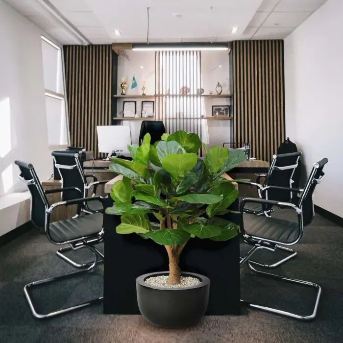 lyrata_deluxe_kunstplant_125_cm_op_stam_102412_10_3_3.webp