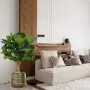 102412-1722943178-lifestyle1722943173.webp