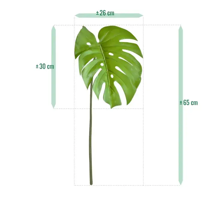 Monsterablad_65_groen_517206_2_1.webp