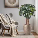 147012-monstera-op-stam-120-lifestyle-image-1.webp