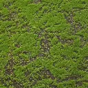 406130_Close_Up_1.webp