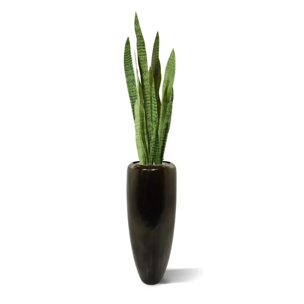 Sanseveria 110 groen 4.webp