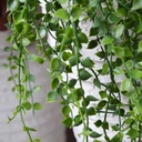 Callisia kunst hangplant 70cm - UV bestendig