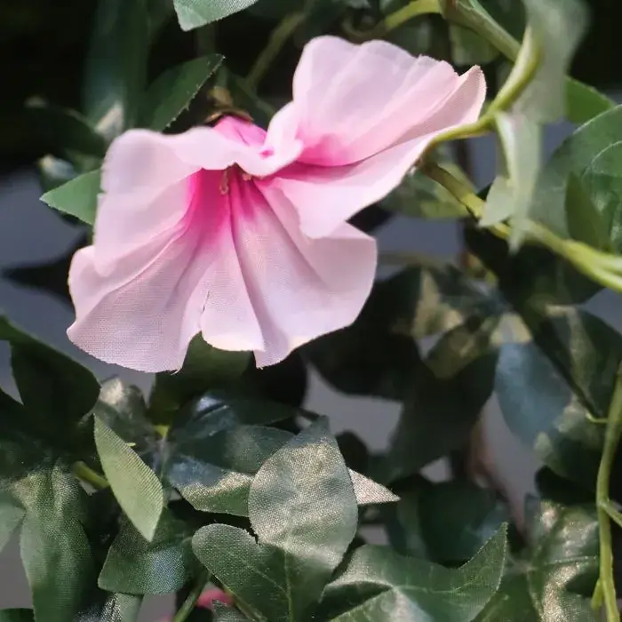 Petunia 110 roze 2.webp
