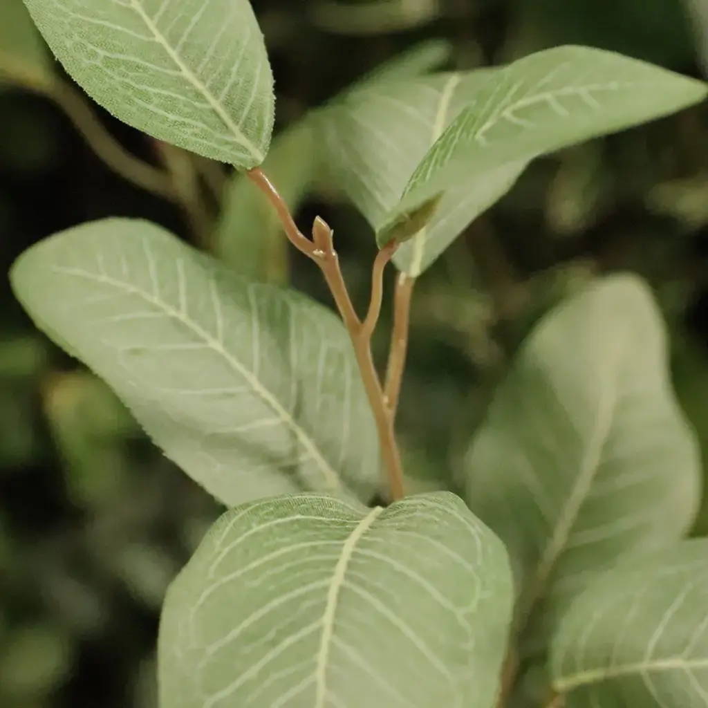 Eucalyptus kunsttak 80 2.webp