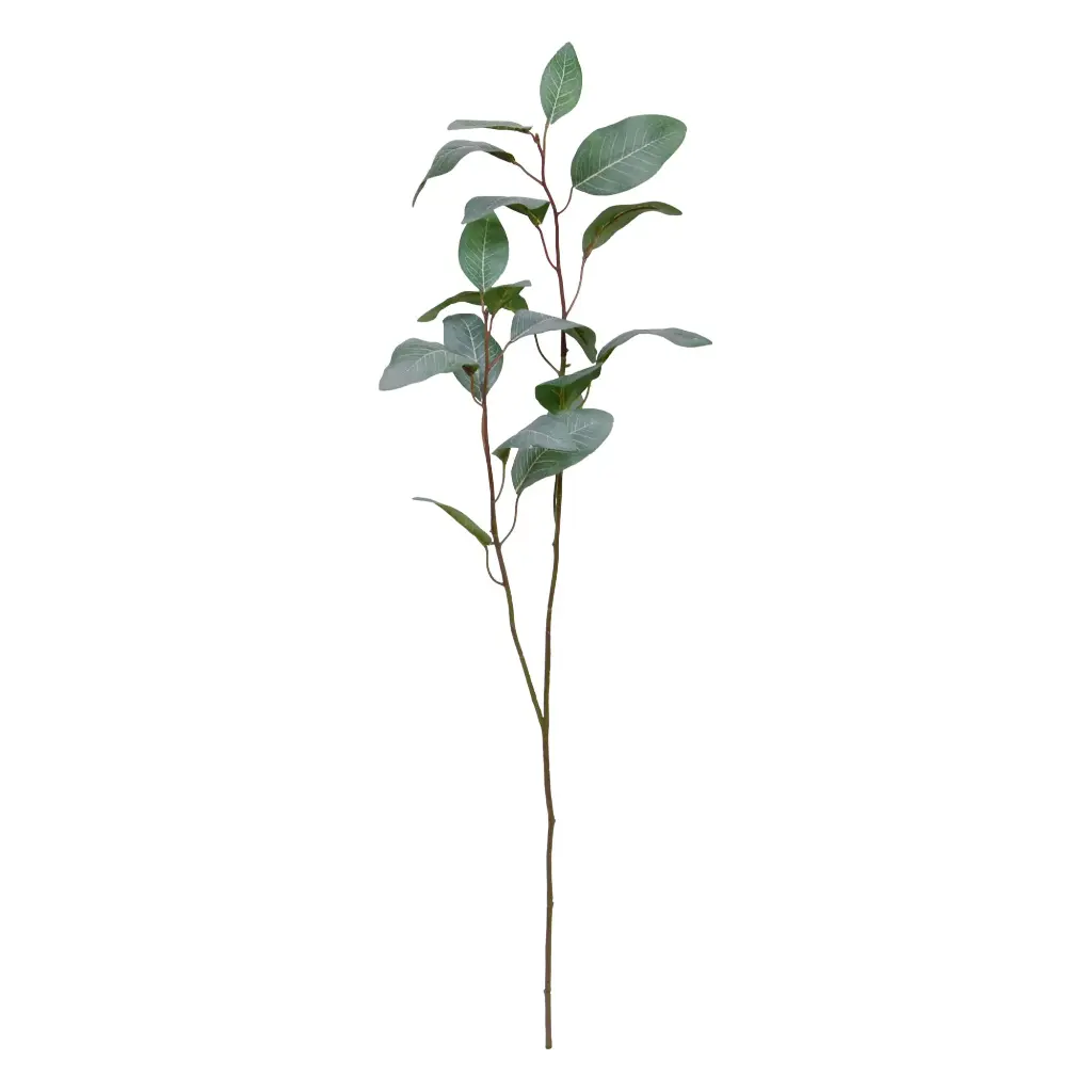 Eucalyptus kunsttak 80.webp