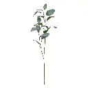 Eucalyptus kunsttak 80.webp