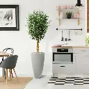 Olijf 155 2.webp
