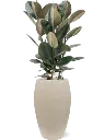 Raindrop - Emperor - Beige 2.webp