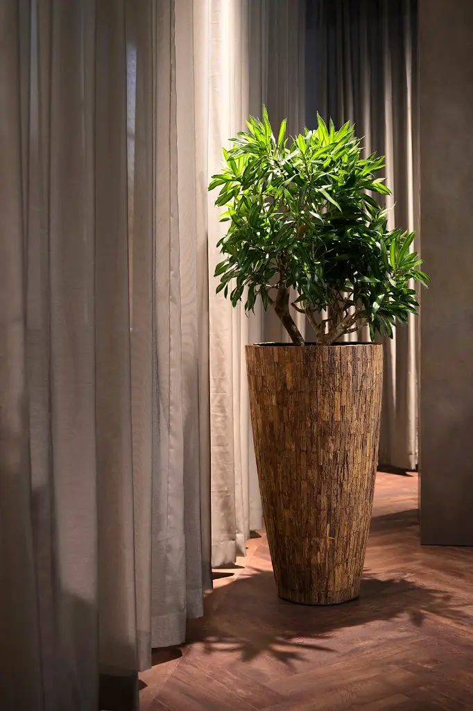 Bosco Vase Camani 3.webp