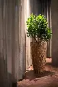 Bosco Vase Camani 3.webp