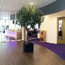 Olijf 270 4.webp