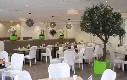 Olijf 270 5.webp