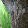 Olijf 270 2.webp