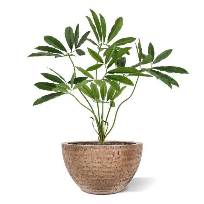 philodendron-fun-bun-kunstplant-80cm-deluxe-combination-image-4.webp
